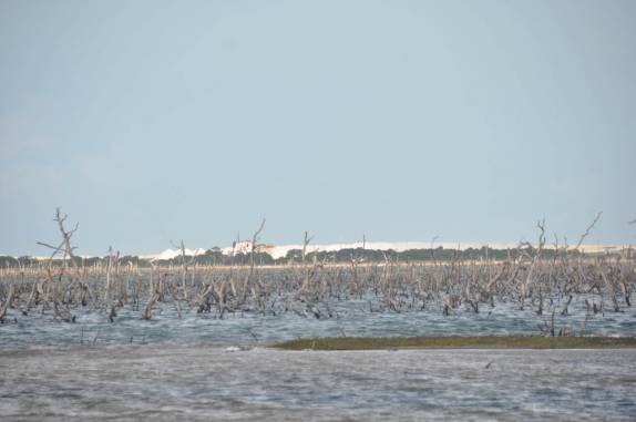 Salina próxima à Galinhos - RN
